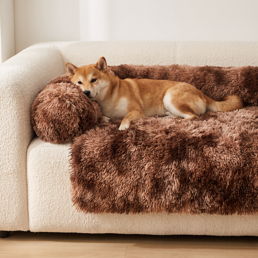 A Shiba Inu resting on the Pawzie Drape in Chocolate, spread across a cream boucle sofa with the bolster along the backrest