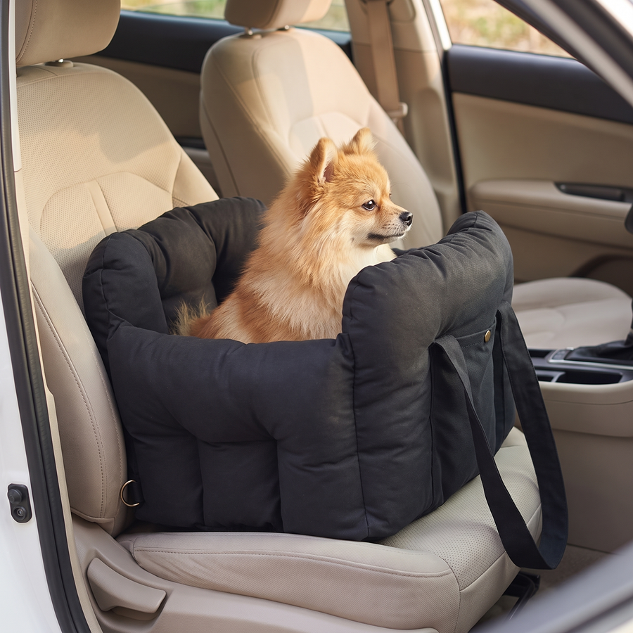 A Pomeranian settled in the black Pawzie Perch booster bed on a car passenger seat, with the padded walls rising around it and the webbing carry strap hanging over the side