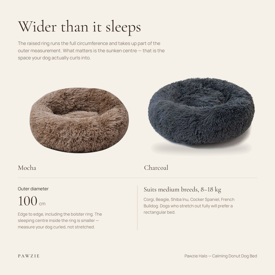 Pawzie Halo sizing panel: 39 in outer diameter shown in Mocha and Charcoal, with the raised ring running the full circumference, suited to medium breeds of roughly 18–40 lb