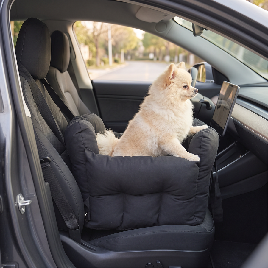 A Pomeranian sitting up in the black Pawzie Perch booster bed on a car passenger seat, looking out of the window