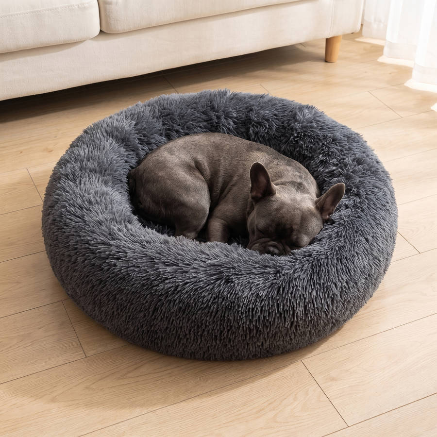 A French Bulldog curled asleep inside the Pawzie Halo in Charcoal on a pale oak floor beside a sofa