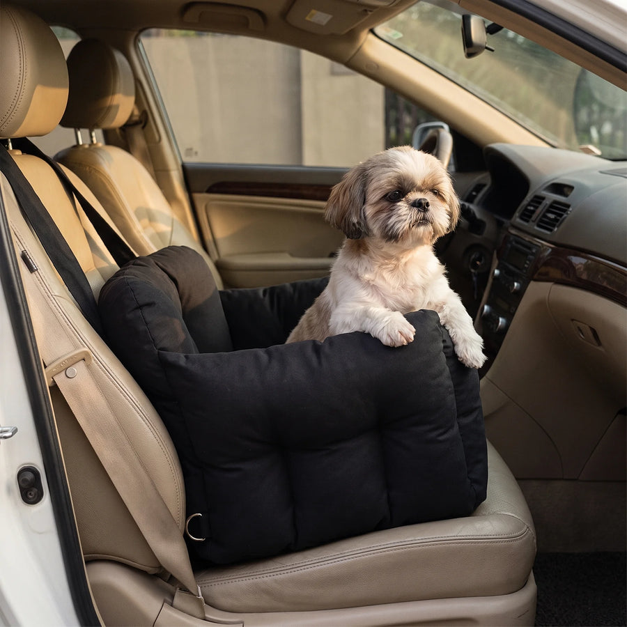 A Shih Tzu resting its paws on the front edge of the black Pawzie Perch booster bed in a car