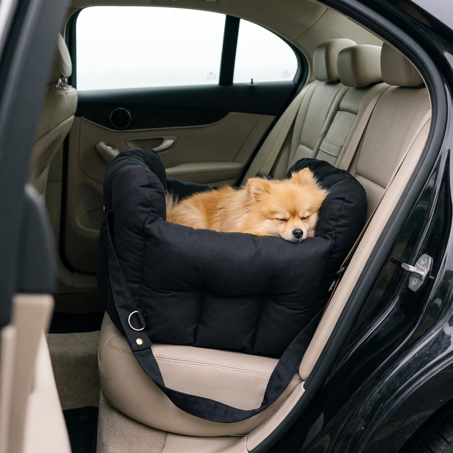 A Pomeranian asleep in the black Pawzie Perch booster bed on a car back seat