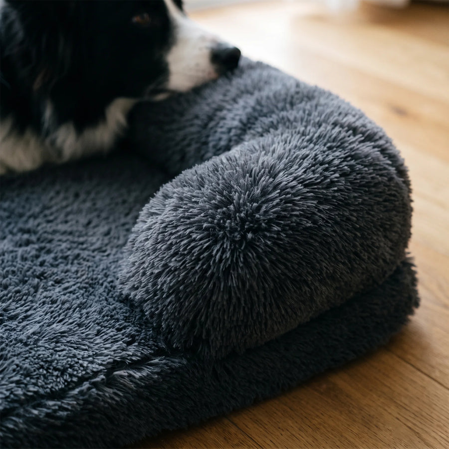 A Border Collie resting in the Dark Gray Pawzie Lounge bolstered dog bed