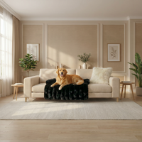 Biscuit's household