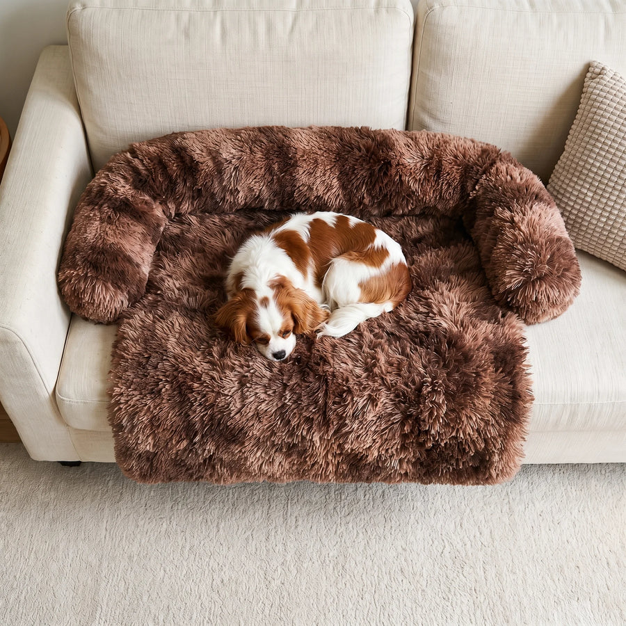 A Cavalier King Charles Spaniel asleep on the Pawzie Drape in Chocolate