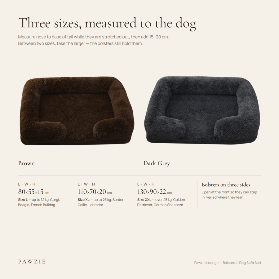Pawzie Lounge size guide: L 31.5 × 21.5 × 6 in, XL 43 × 27.5 × 8 in, XXL 51 × 35 × 8.5 in, shown in Brown and Dark Gray